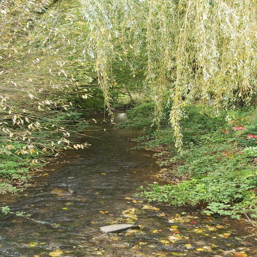 Gite La Riviera Wargnies-le-Grand Bagian luar foto